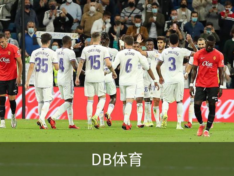 DB体育简介